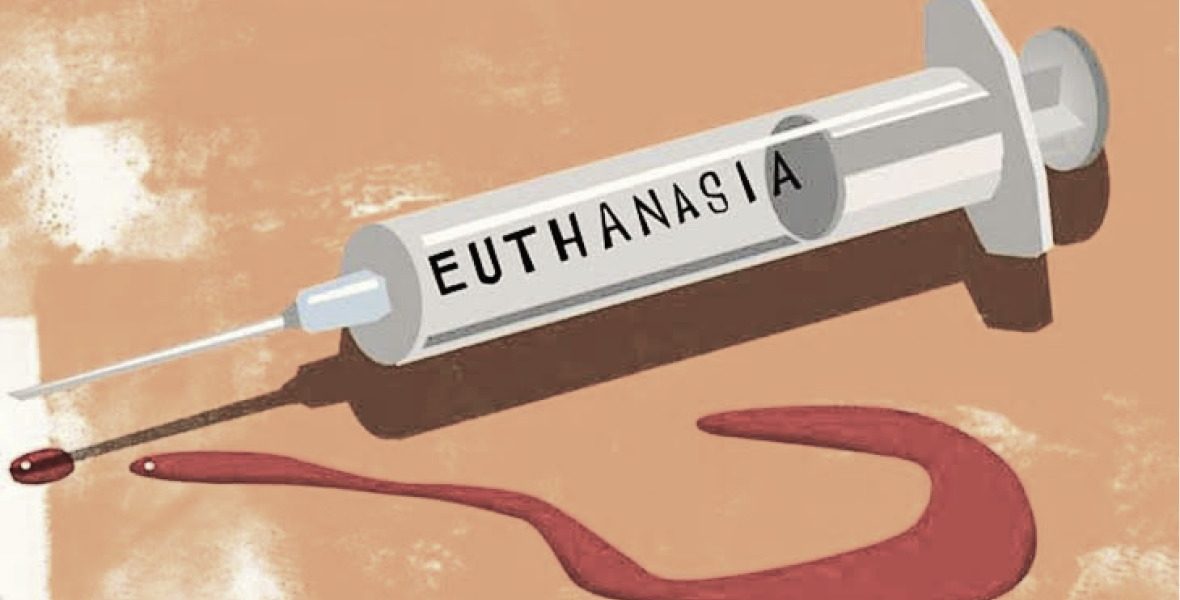 A picture with a syringe with Euthanasia written on it